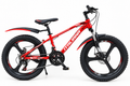 Vélo Tout Terrain Rouge, Freins à Disque & Vitesses