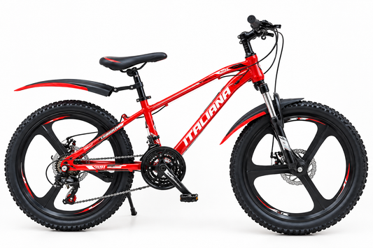 Vélo Tout Terrain Rouge, Freins à Disque & Vitesses