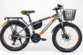 Vélo Tout Terrain, Freins à Disque, Vitesses & Panier