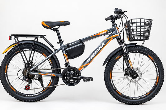 Vélo Tout Terrain, Freins à Disque, Vitesses & Panier