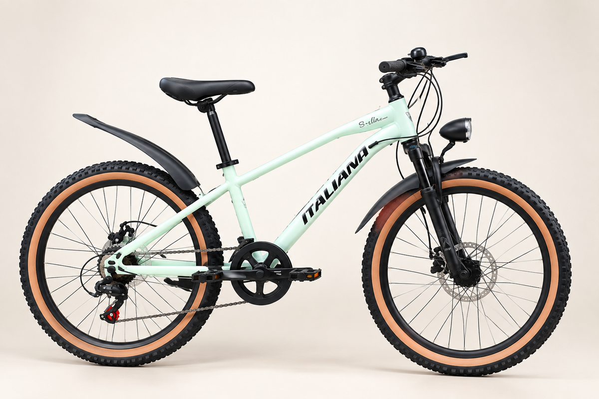 Vélo Tout Terrain, Freins à Disque & Vitesses
