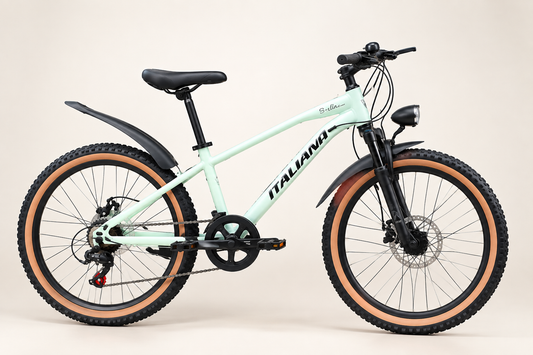 Vélo Tout Terrain, Freins à Disque & Vitesses